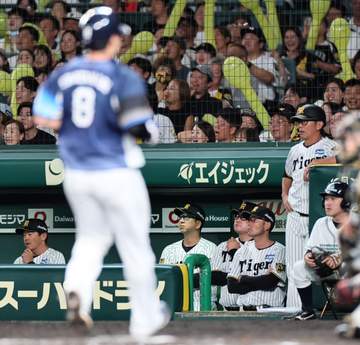 阪神・藤川監督 勝敗分けた2失策の小幡にゲキ「強さを持った選手がこの舞台には必要」