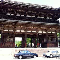 「仁和寺」/photo by hiroaki.hirano