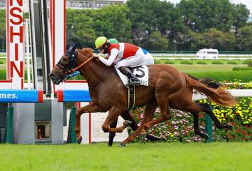 ショウナンバトレニは引き続き松山とのコンビで京都2歳Sへ