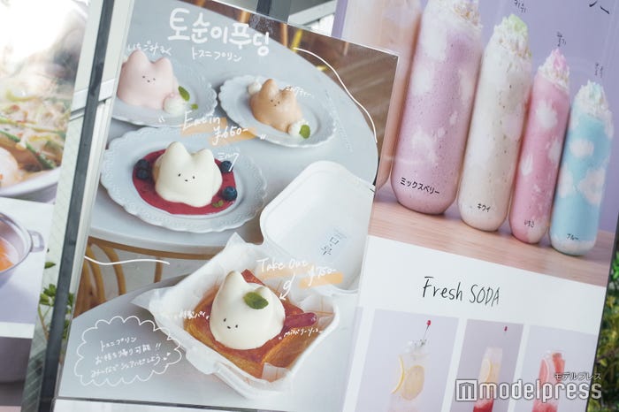 Studio Cafe MARU(C)モデルプレス