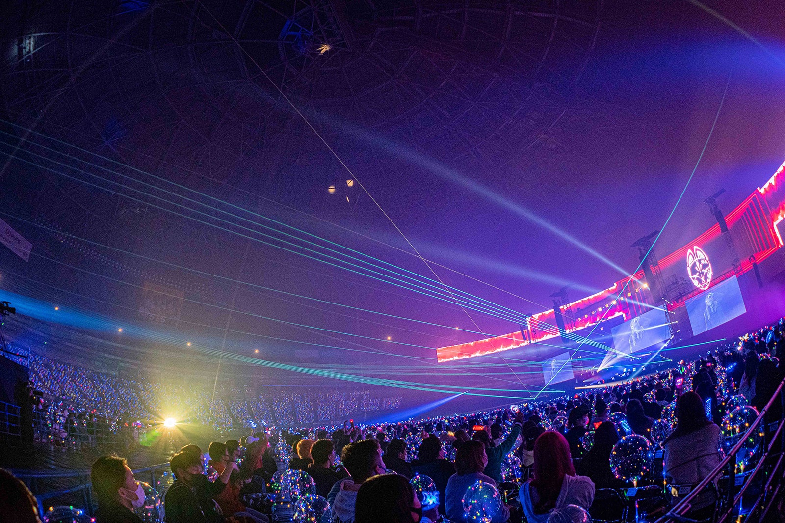 レペゼン地球（提供写真）