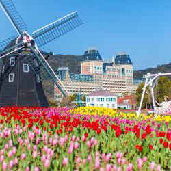 フラワーフェスティバル~花と光のイースター~/画像提供:ハウステンボス