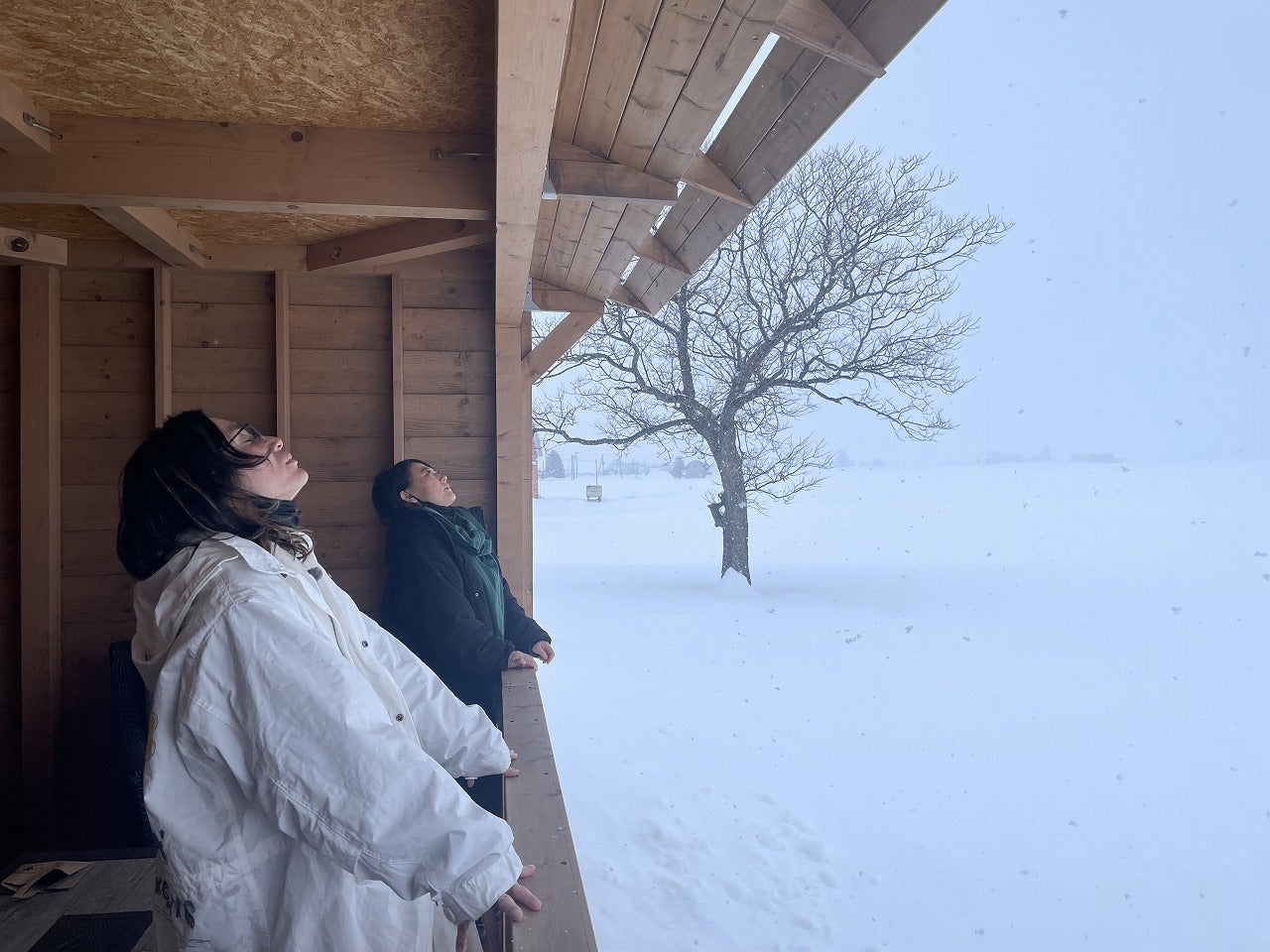 安田章大、友近（C）HBCテレビ