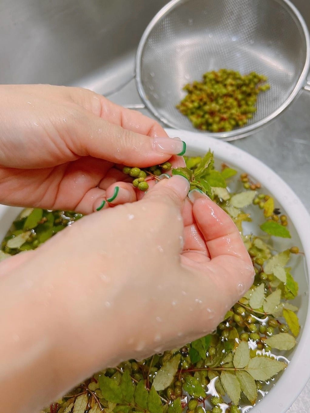 渡辺美奈代公式ブログより