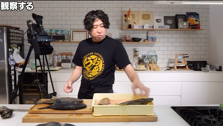 きまぐれクックにも見たことない魚があった！？謎の魚を購入すると…