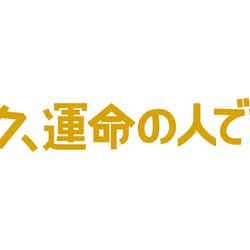 「ボク、運命の人です。」ロゴ （C）日本テレビ