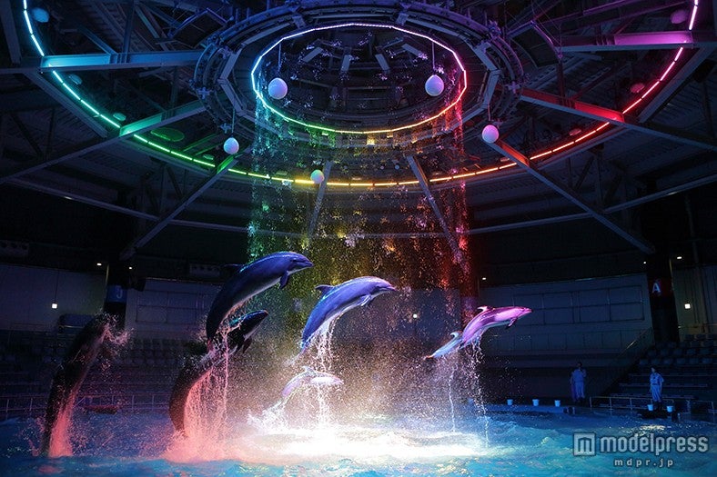 ナイトパフォーマンス（空間イメージ）／画像提供：横浜八景島