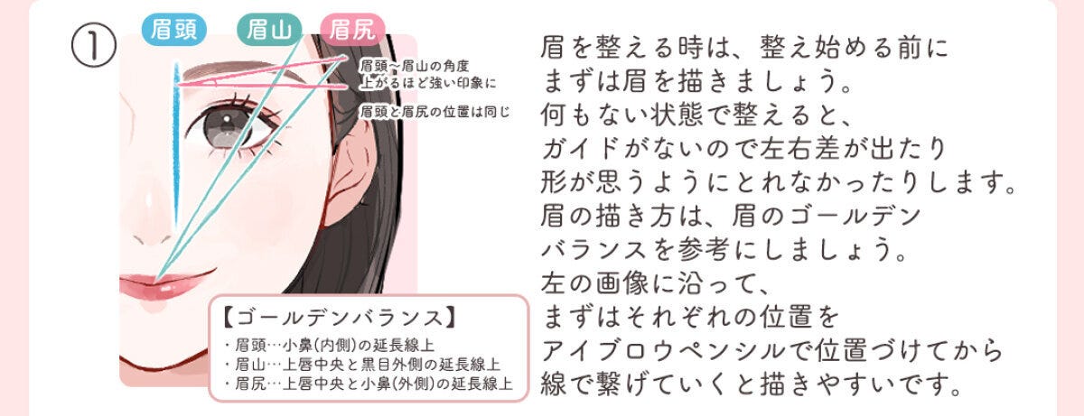 女性の顔に眉のゴールデンバランスを示す線と説明文