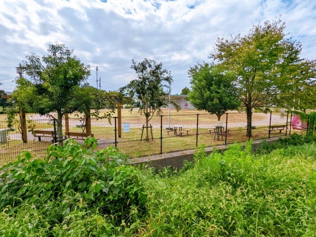 【大阪】こ、古墳がのってる！羽曳野でみつけた「個性派クレープ」