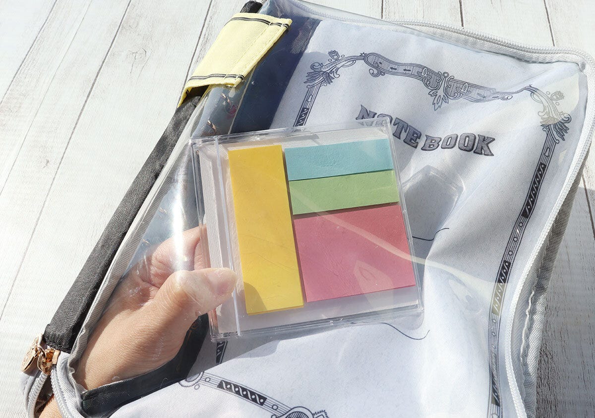 クリアポケット ツバメノートポーチ付録クリアポケット