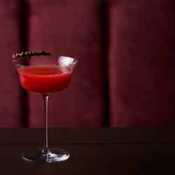 デュシタニ京都/画像提供:デュシットインターナショナル