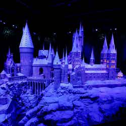ホグワーツ・イン・ザ・スノー(提供写真)