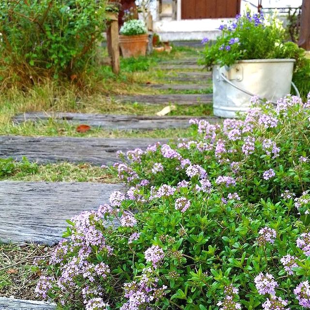 草花をもっと愛せる素敵な庭作りのコツをご紹介 難しくないおしゃれに見せる方法 モデルプレス