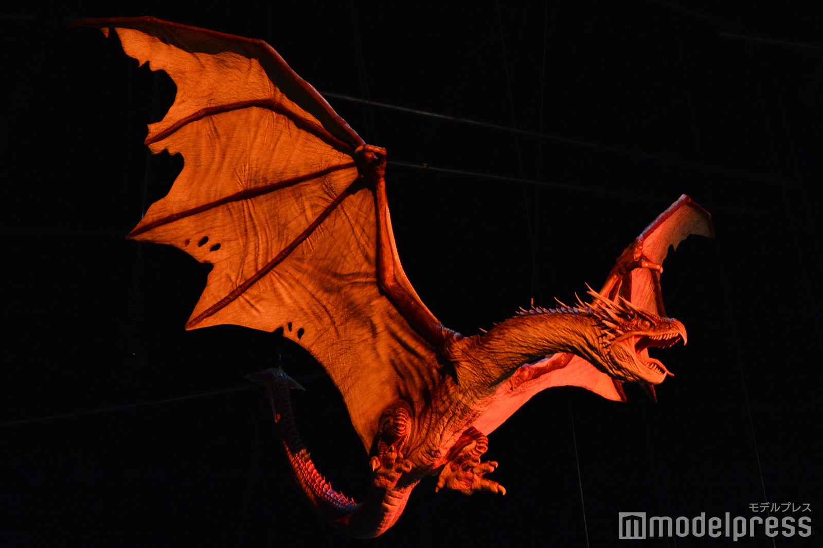 炎のゴブレット／ワーナー ブラザース スタジオツアー東京 – メイキング・オブ・ハリー・ポッター（C）モデルプレス