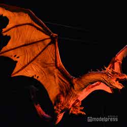 炎のゴブレット/ワーナー ブラザース スタジオツアー東京 – メイキング・オブ・ハリー・ポッター(C)モデルプレス