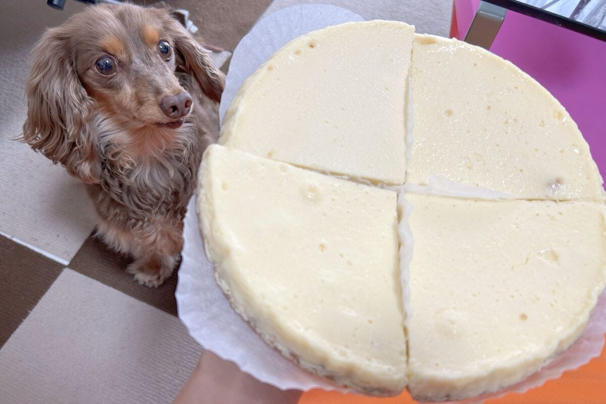 セブンイレブン『かじるニューヨークチーズケーキ』