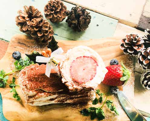 今からでも作れるクリスマスケーキ「ブッシュドノエル」の簡単レシピ【柏原歩のトレンドレシピ】
