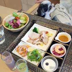 RETONA HAKONE(C)モデルプレス