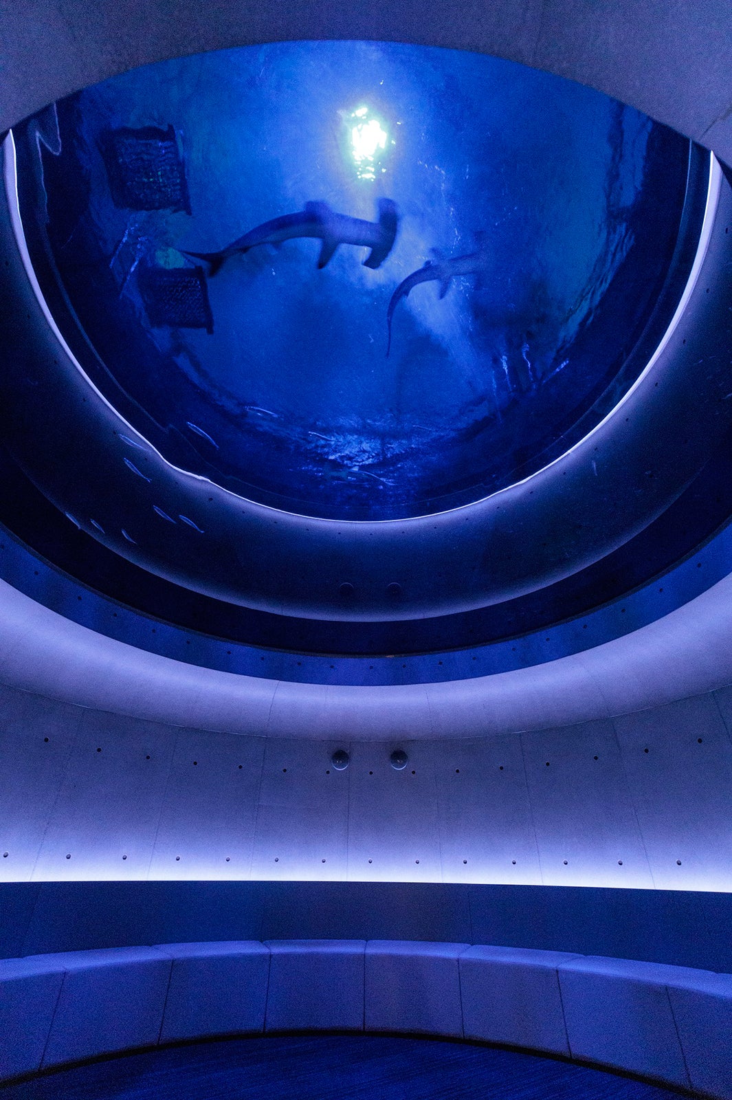 四国水族館（C）四国水族館