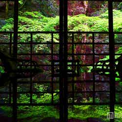 (C)モデルプレス