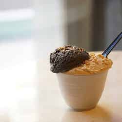 “世界一濃厚”なごまアイス専門店「GOMAYA KUKI(ごまやくき)」が表参道に出店/画像提供:favy