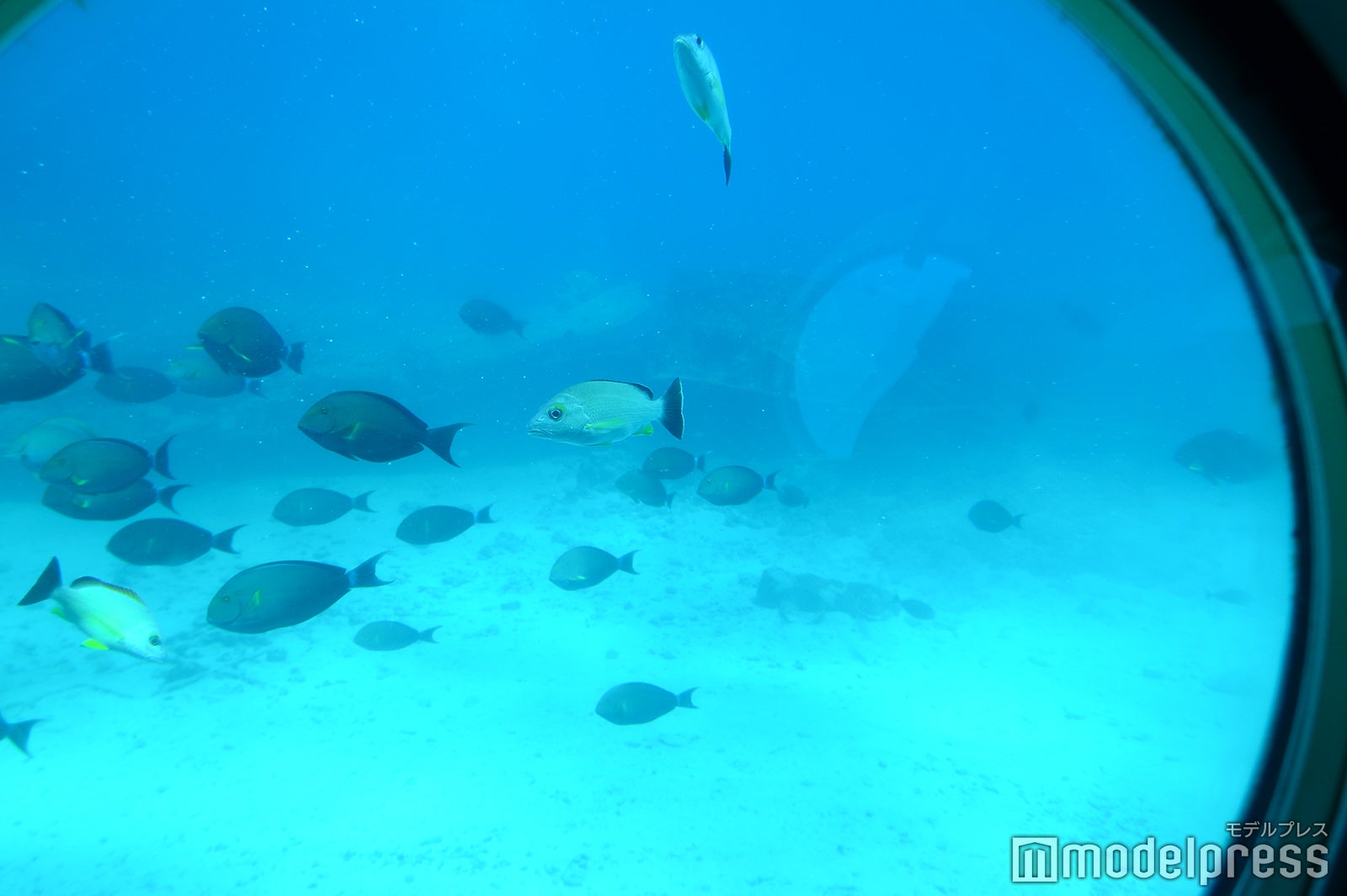 サブマリンツアー（C）モデルプレス