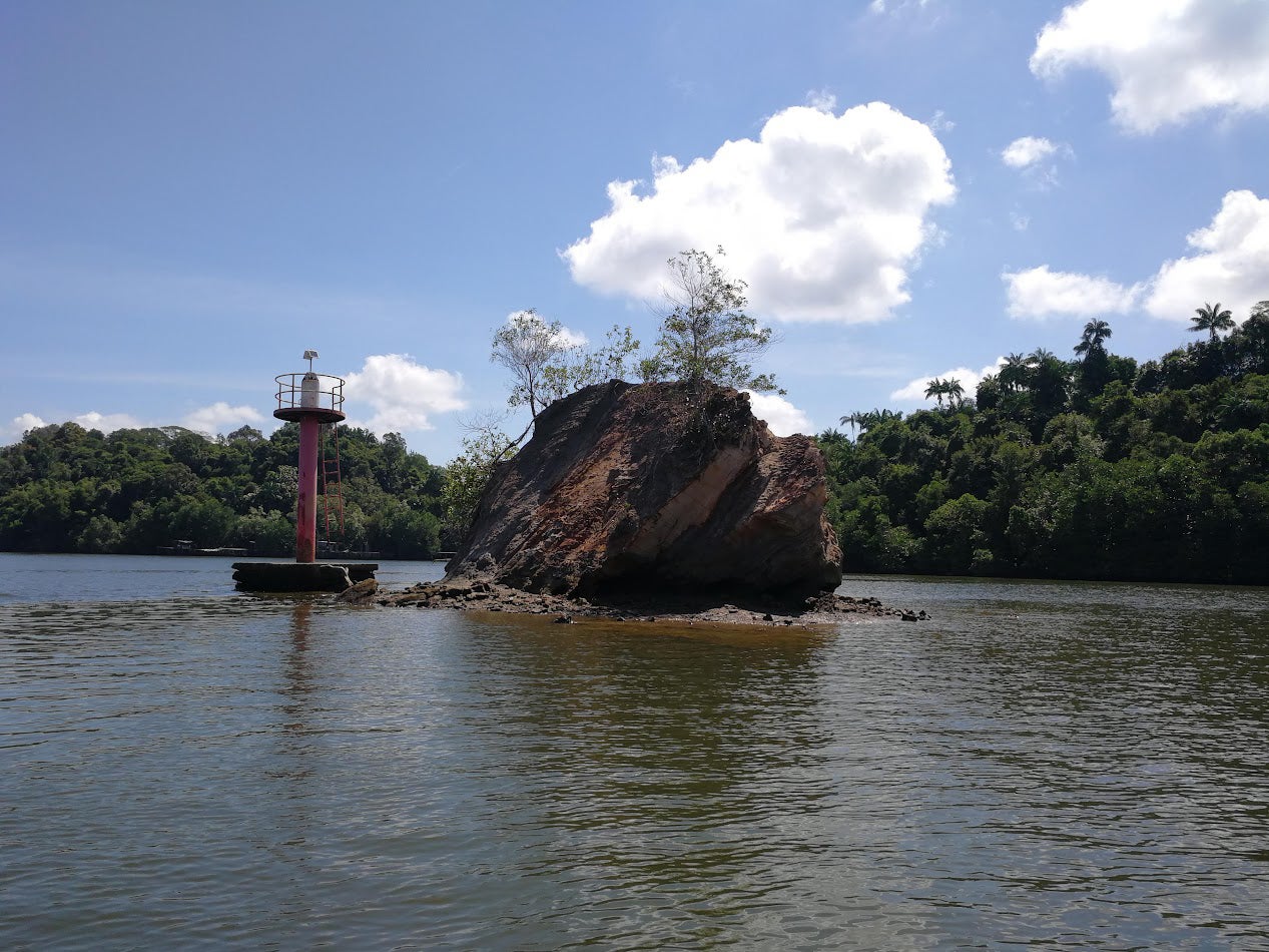 ブルネイ川リバーサファリ