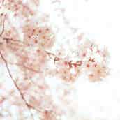 努力 に纏わることわざ14選 頑張る貴方の心に寄り添う素敵な言葉たち モデルプレス 努力 に纏わることわざ14選 頑張る貴方の心に寄り添う素敵な言葉たち モデルプレス