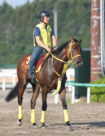 【オークス】スタニングレディ 広いコースにも適性十分 宗方助手「出来は申し分ない」