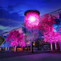 チームラボクリスタル花火※写真:チームラボと香川 夏のデジタルアート祭り/画像提供:チームラボ