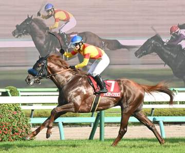 【セントライト記念】ジャスティンシカゴ 激走！重賞初制覇 好エスコートの原「折り合いついたのが一番の勝因」宮田師が菊花賞もコンビ継続明言