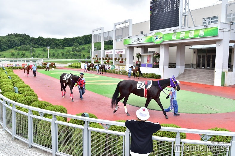 盛岡競馬場のパドック