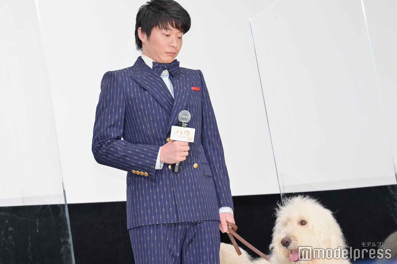 田中圭（C）モデルプレス