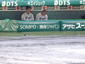 阪神－中日は雨天中止 開始遅延も天候回復せず 阪神は大竹、中日は桜井が先発予定も
