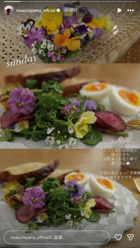 内山理名Instagramストーリーズより