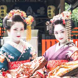 京都伝統体験（提供写真）