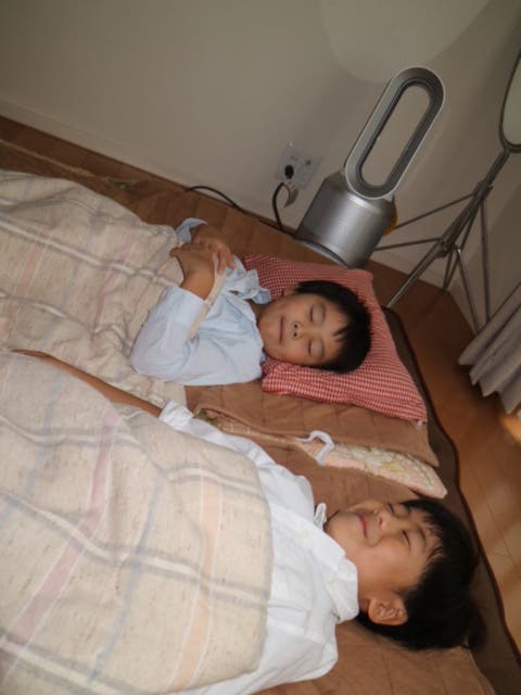 羽根がないところも◎(画像提供:セブン&アイ出版)