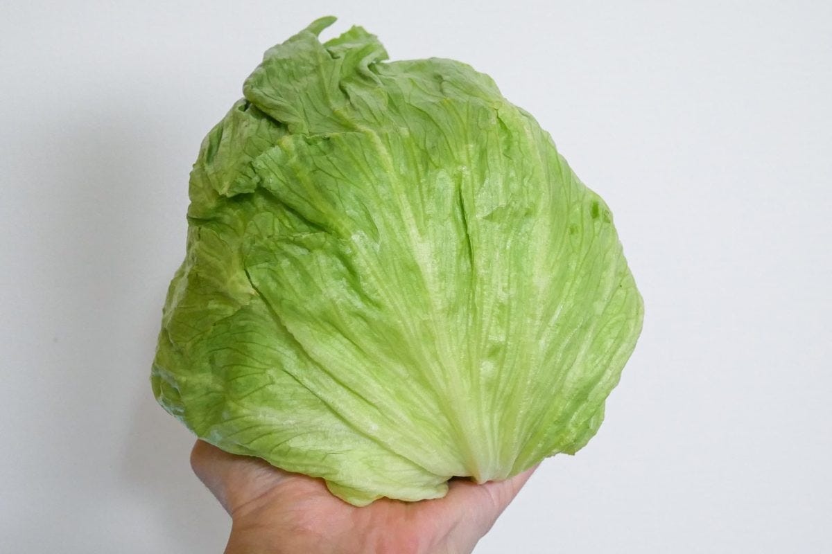 全農・レタスしゃぶしゃぶ