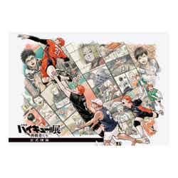 「古舘春一 ハイキュー!!展 挑戦者たち」公式図録(C)古舘春一/集英社