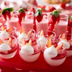 ストロベリーコレクション with シルバニアファミリー/画像提供:京王プラザホテル