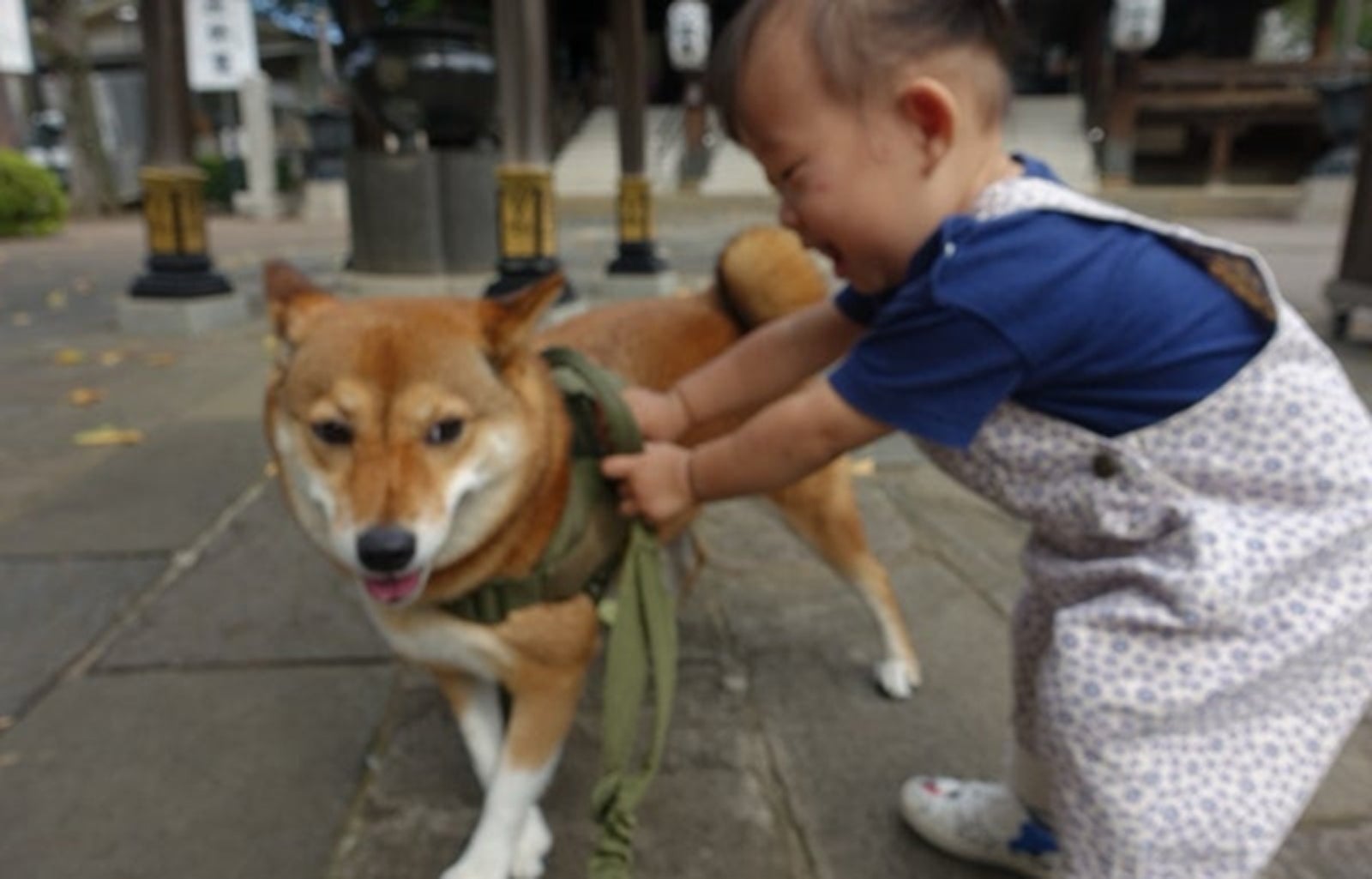 尾形あいさんオフィシャルブログより
