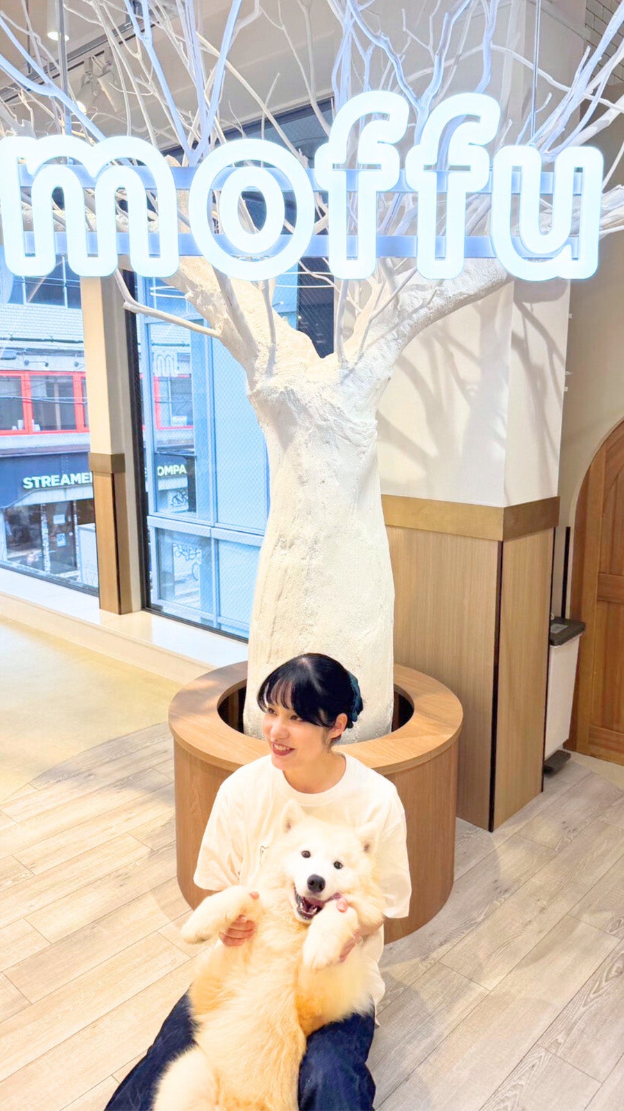 サモエドカフェmoffu／提供素材