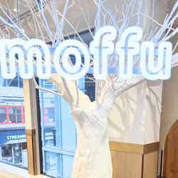 サモエドカフェmoffu/提供素材