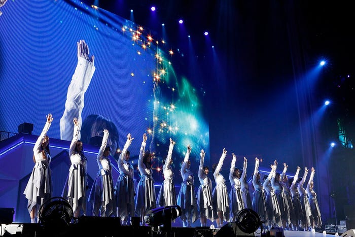 乃木坂46(提供写真)