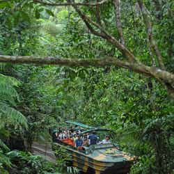 アーミーダック乗車/画像提供:JTBワールドバケーションズ