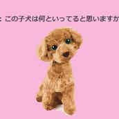 性格診断 男友達が多い 椅子の座り方でわかる あなたの深層心理 モデルプレス 性格診断 男友達が多い 椅子の座り方でわかる あなたの深層心理 モデルプレス