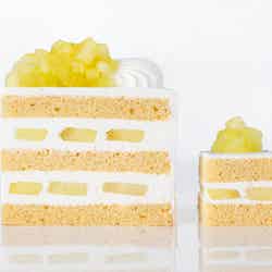 (C)2026 San-X Co., Ltd. All Rights Reserved.