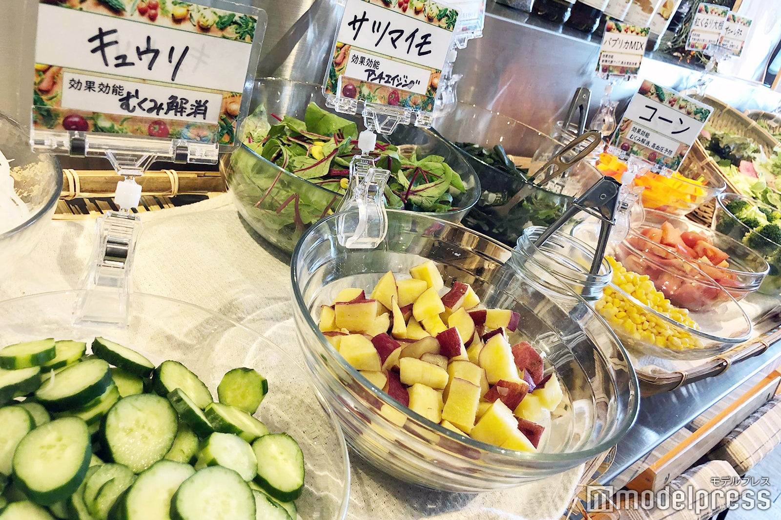 Lion CAFE（C）モデルプレス