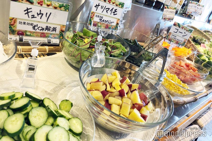 Lion CAFE（C）ビューティーガール