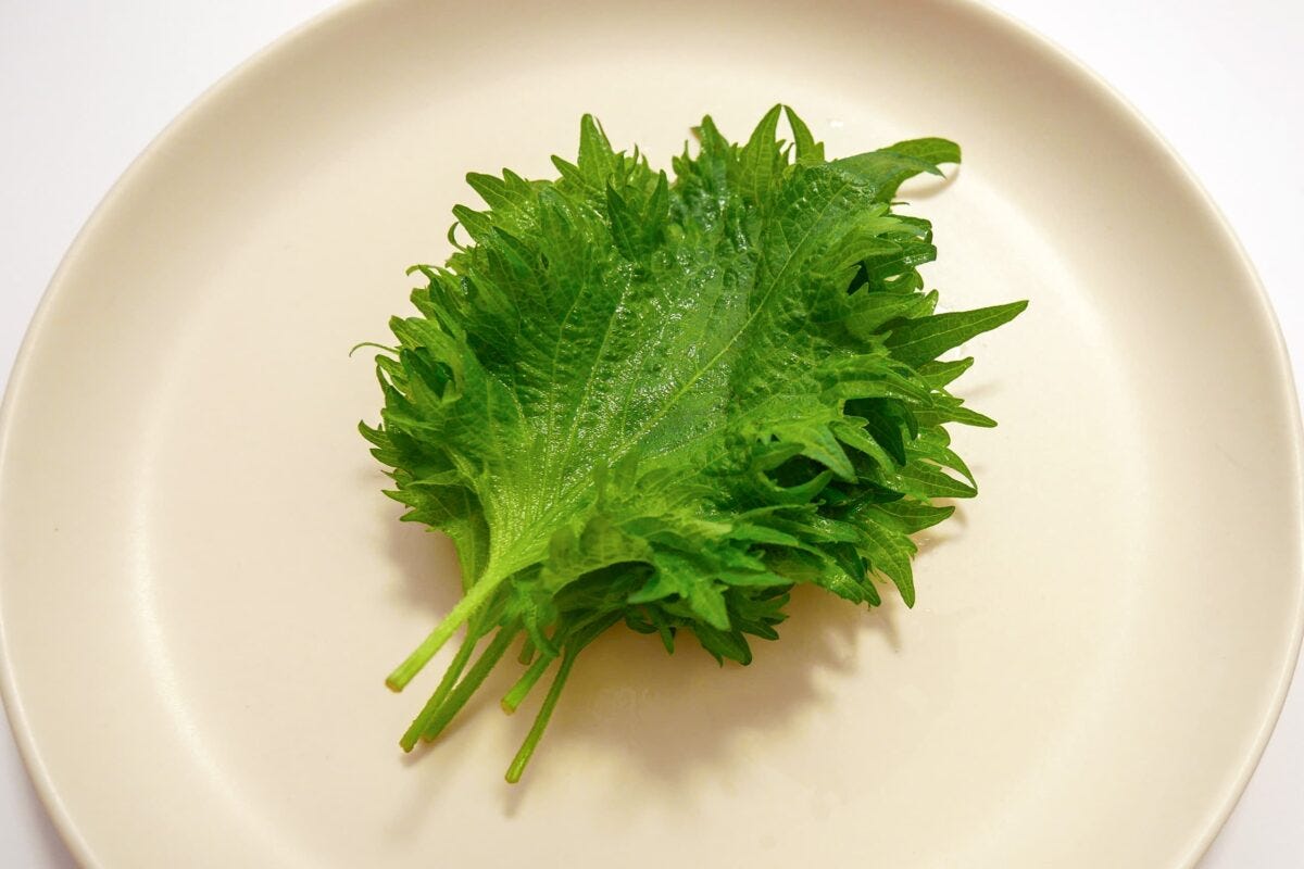 大葉